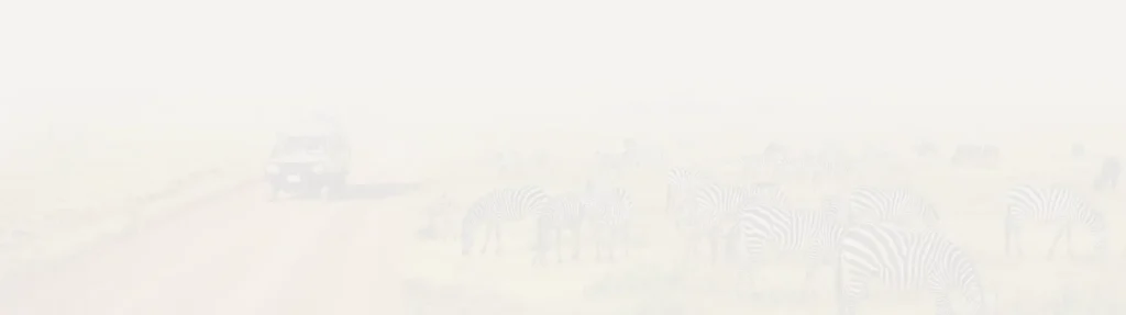 Aventures épiques en Afrique du Sud