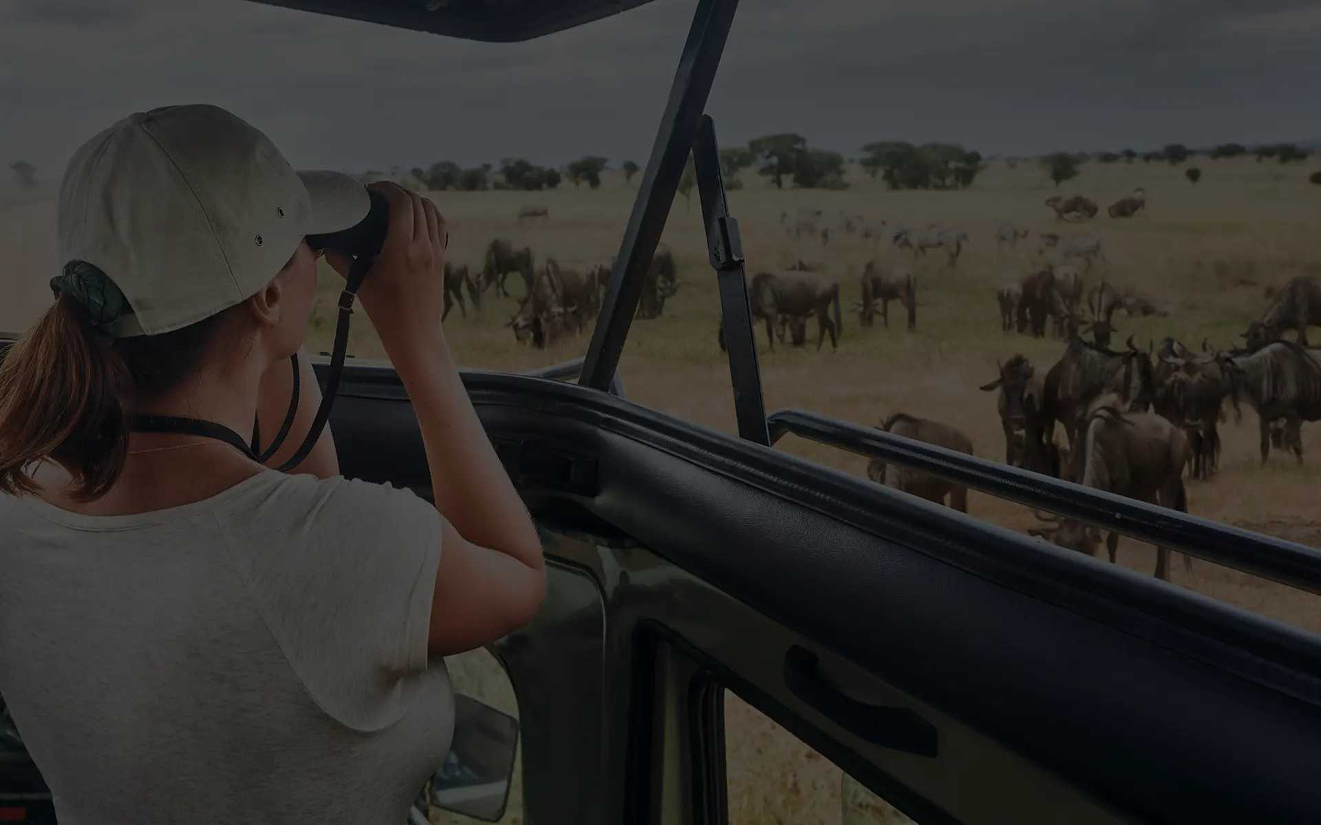 Voyagez à travers des circuits exclusifs en Afrique